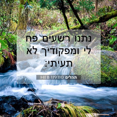 Picture 07 - תהלים 119:110 HEB - נתנו רשעים פח לי ומפקודיך - Bible Verse Picture