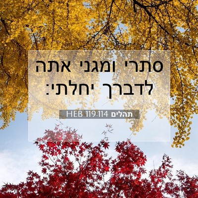 Picture 07 - תהלים 119:114 HEB - סתרי ומגני אתה לדברך - Bible Verse Picture