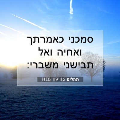 Picture 07 - תהלים 119:116 HEB - סמכני כאמרתך ואחיה ואל - Bible Verse Picture