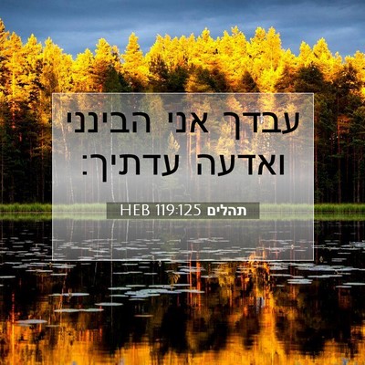 Picture 07 - תהלים 119:125 HEB - עבדך אני הבינני ואדעה - Bible Verse Picture