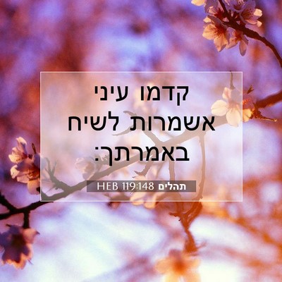 Picture 07 - תהלים 119:148 HEB - קדמו עיני אשמרות לשיח - Bible Verse Picture