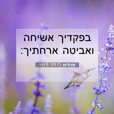 Picture 07 - תהלים 119:15 HEB - בפקדיך אשיחה ואביטה - Bible Verse Picture