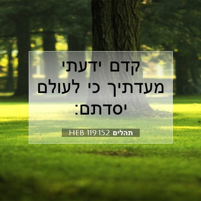 Picture 07 - תהלים 119:152 HEB - קדם ידעתי מעדתיך כי לעולם - Bible Verse Picture