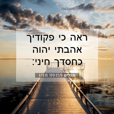 Picture 07 - תהלים 119:159 HEB - ראה כי פקודיך אהבתי יהוה - Bible Verse Picture