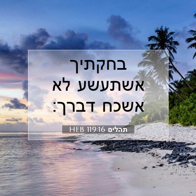 Picture 07 - תהלים 119:16 HEB - בחקתיך אשתעשע לא אשכח - Bible Verse Picture