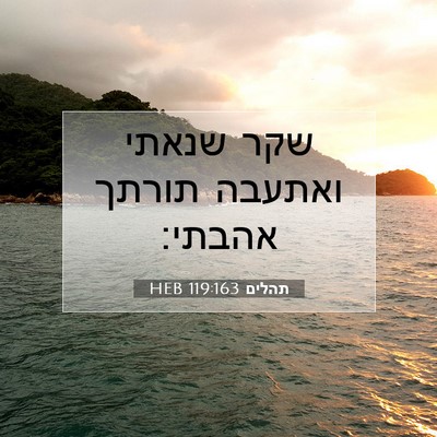 Picture 07 - תהלים 119:163 HEB - שקר שנאתי ואתעבה תורתך - Bible Verse Picture