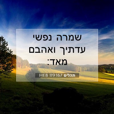 Picture 07 - תהלים 119:167 HEB - שמרה נפשי עדתיך ואהבם - Bible Verse Picture