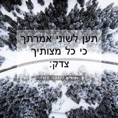 Picture 07 - תהלים 119:172 HEB - תען לשוני אמרתך כי כל - Bible Verse Picture