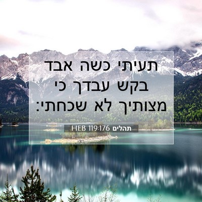 Picture 07 - תהלים 119:176 HEB - תעיתי כשה אבד בקש עבדך כי - Bible Verse Picture