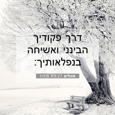 Picture 07 - תהלים 119:27 HEB - דרך פקודיך הבינני ואשיחה - Bible Verse Picture