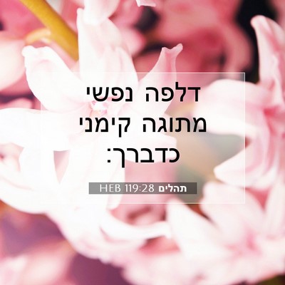 Picture 07 - תהלים 119:28 HEB - דלפה נפשי מתוגה קימני - Bible Verse Picture