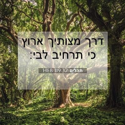Picture 07 - תהלים 119:32 HEB - דרך מצותיך ארוץ כי תרחיב - Bible Verse Picture