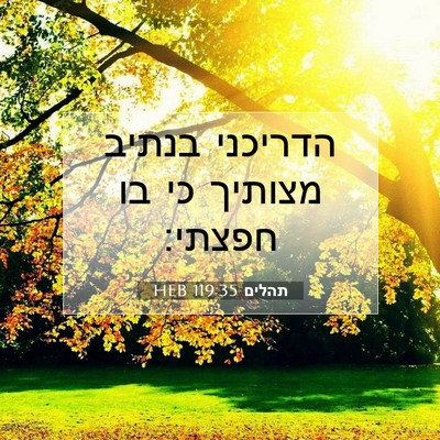 Picture 07 - תהלים 119:35 HEB - הדריכני בנתיב מצותיך כי בו - Bible Verse Picture