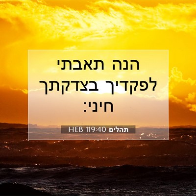 Picture 07 - תהלים 119:40 HEB - הנה תאבתי לפקדיך בצדקתך - Bible Verse Picture