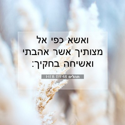 Picture 07 - תהלים 119:48 HEB - ואשא כפי אל מצותיך אשר - Bible Verse Picture