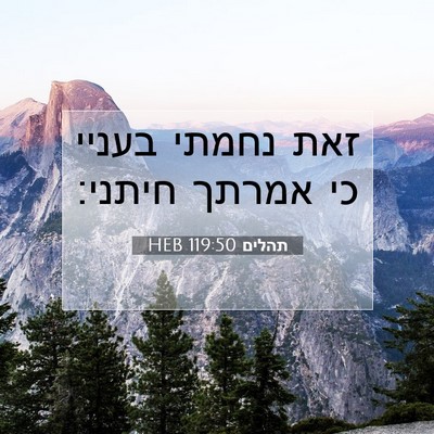 Picture 07 - תהלים 119:50 HEB - זאת נחמתי בעניי כי אמרתך - Bible Verse Picture