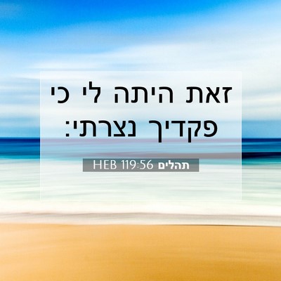 Picture 07 - תהלים 119:56 HEB - זאת היתה לי כי פקדיך - Bible Verse Picture