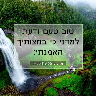 Picture 07 - תהלים 119:66 HEB - טוב טעם ודעת למדני כי - Bible Verse Picture