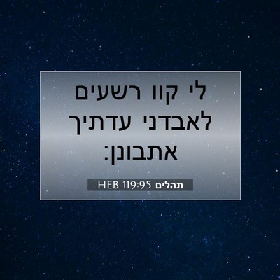 Picture 07 - תהלים 119:95 HEB - לי קוו רשעים לאבדני עדתיך - Bible Verse Picture