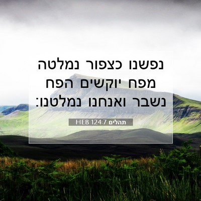 Picture 07 - תהלים 124:7 HEB - נפשנו כצפור נמלטה מפח - Bible Verse Picture
