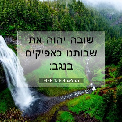 Picture 07 - תהלים 126:4 HEB - שובה יהוה את שבותנו - Bible Verse Picture