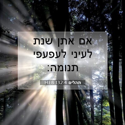 Picture 07 - תהלים 132:4 HEB - אם אתן שנת לעיני לעפעפי - Bible Verse Picture