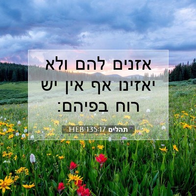 Picture 07 - תהלים 135:17 HEB - אזנים להם ולא יאזינו אף אין - Bible Verse Picture