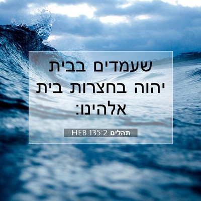 Picture 07 - תהלים 135:2 HEB - שעמדים בבית יהוה בחצרות - Bible Verse Picture