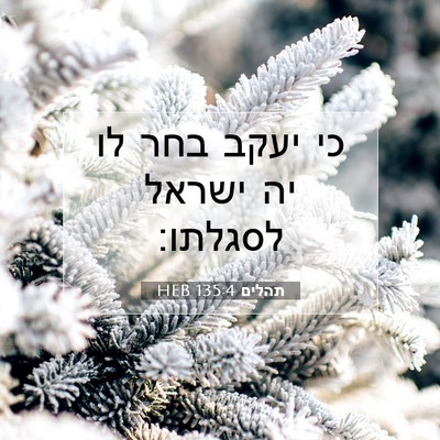 Picture 07 - תהלים 135:4 HEB - כי יעקב בחר לו יה ישראל - Bible Verse Picture