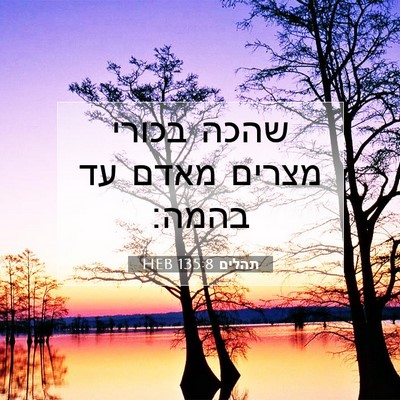 Picture 07 - תהלים 135:8 HEB - שהכה בכורי מצרים מאדם עד - Bible Verse Picture