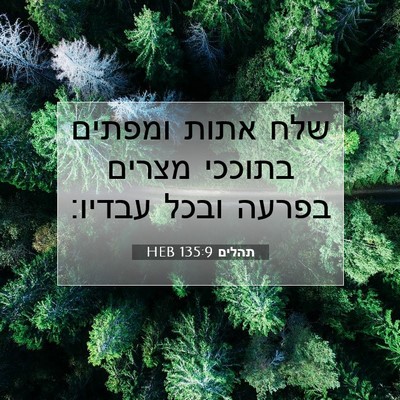 Picture 07 - תהלים 135:9 HEB - שלח אתות ומפתים בתוככי - Bible Verse Picture