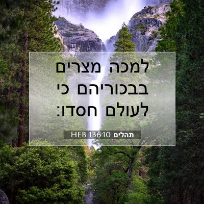 Picture 07 - תהלים 136:10 HEB - למכה מצרים בבכוריהם כי - Bible Verse Picture