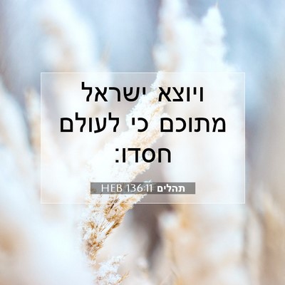 Picture 07 - תהלים 136:11 HEB - ויוצא ישראל מתוכם כי לעולם - Bible Verse Picture
