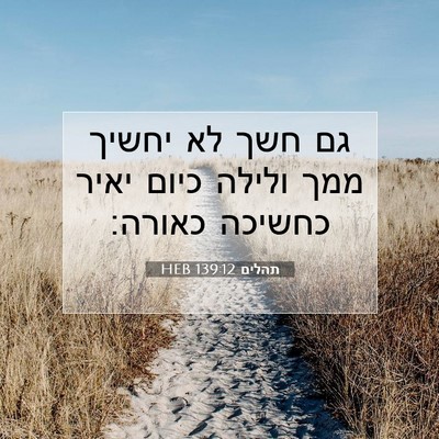 Picture 07 - תהלים 139:12 HEB - גם חשך לא יחשיך ממך ולילה - Bible Verse Picture