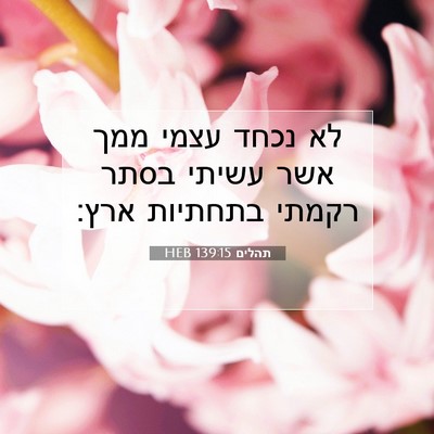 Picture 07 - תהלים 139:15 HEB - לא נכחד עצמי ממך אשר עשיתי - Bible Verse Picture