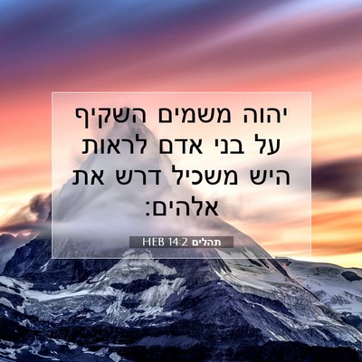 Picture 07 - תהלים 14:2 HEB - יהוה משמים השקיף על בני אדם - Bible Verse Picture