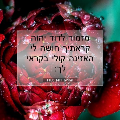 Picture 07 - תהלים 141:1 HEB - מזמור לדוד יהוה קראתיך - Bible Verse Picture