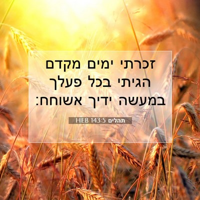 Picture 07 - תהלים 143:5 HEB - זכרתי ימים מקדם הגיתי בכל - Bible Verse Picture