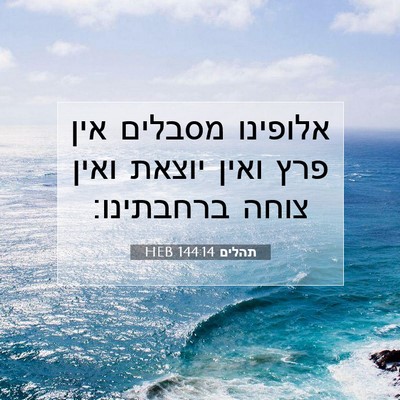 Picture 07 - תהלים 144:14 HEB - אלופינו מסבלים אין פרץ - Bible Verse Picture