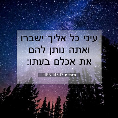 Picture 07 - תהלים 145:15 HEB - עיני כל אליך ישברו ואתה - Bible Verse Picture