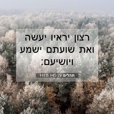 Picture 07 - תהלים 145:19 HEB - רצון יראיו יעשה ואת שועתם - Bible Verse Picture