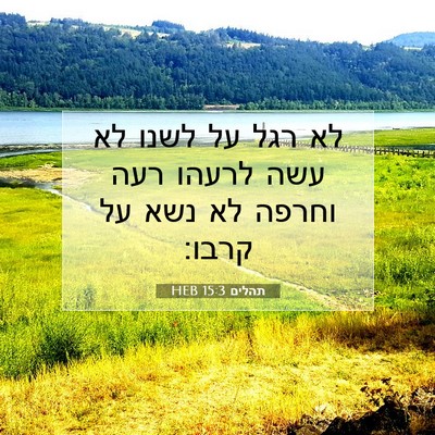 Picture 07 - תהלים 15:3 HEB - לא רגל על לשנו לא עשה לרעהו - Bible Verse Picture