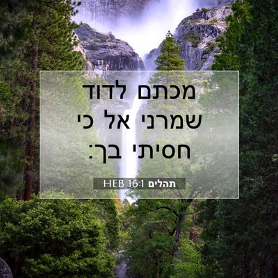 Picture 07 - תהלים 16:1 HEB - מכתם לדוד שמרני אל כי חסיתי - Bible Verse Picture