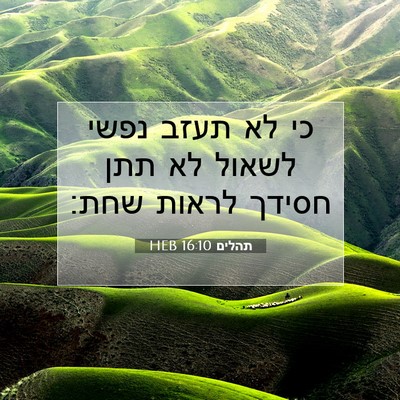 Picture 07 - תהלים 16:10 HEB - כי לא תעזב נפשי לשאול לא - Bible Verse Picture