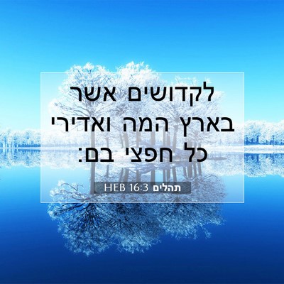 Picture 07 - תהלים 16:3 HEB - לקדושים אשר בארץ המה - Bible Verse Picture