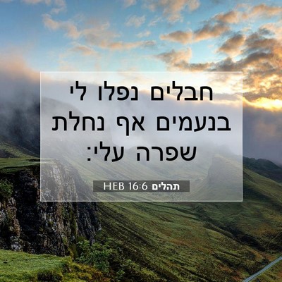 Picture 07 - תהלים 16:6 HEB - חבלים נפלו לי בנעמים אף - Bible Verse Picture