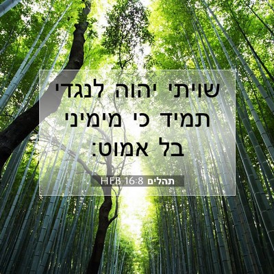 Picture 07 - תהלים 16:8 HEB - שויתי יהוה לנגדי תמיד כי - Bible Verse Picture
