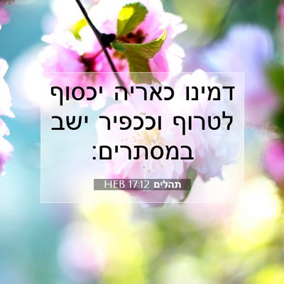 Picture 07 - תהלים 17:12 HEB - דמינו כאריה יכסוף לטרוף - Bible Verse Picture
