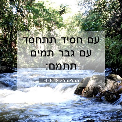 Picture 07 - תהלים 18:25 HEB - עם חסיד תתחסד עם גבר תמים - Bible Verse Picture