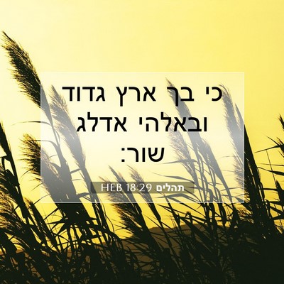 Picture 07 - תהלים 18:29 HEB - כי בך ארץ גדוד ובאלהי אדלג - Bible Verse Picture